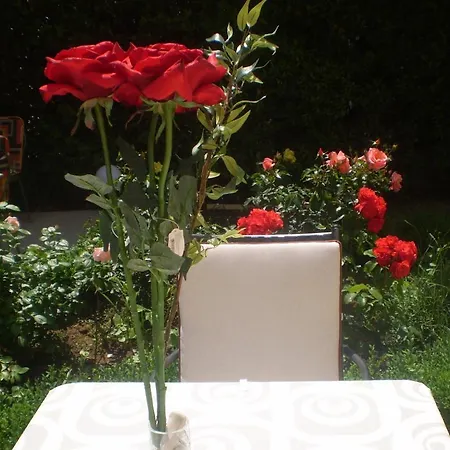 伊莲娜别墅酒店 * 扎达尔