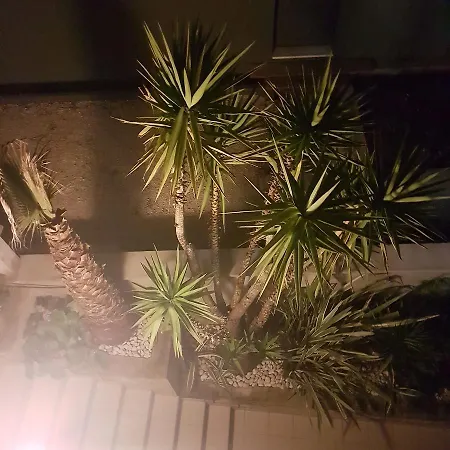 Jelena Апартаменти Задар