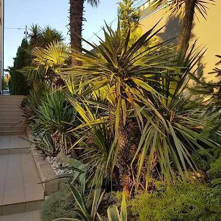 公寓 伊莲娜别墅酒店 扎达尔