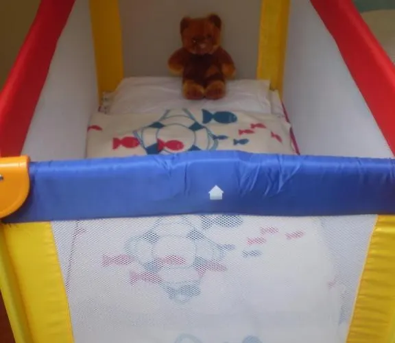 Apartment Jelena Zadar