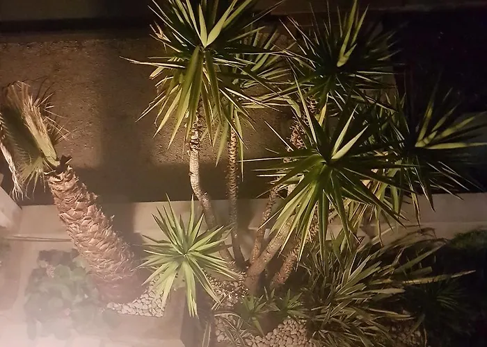 Jelena Apartment Zadar