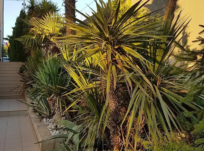 Apartment Jelena Zadar